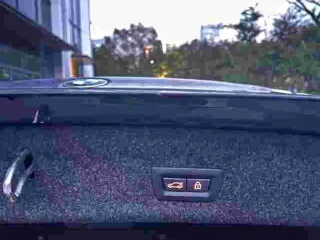 BMW BMW 3 Series 2023 325Li M Sport Black Night Package — Фото автомобиля 10
