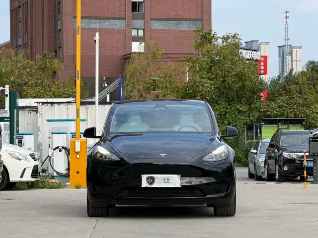 Tesla Model Y — Фото автомобиля 2