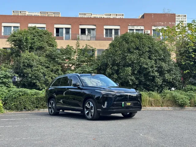 Wey Lanshan — Фото автомобиля 3