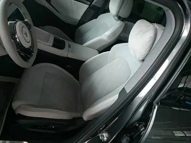 Voyah Auto VOYAH FREE 2025 318 318km RWD Touring Edition — Фото автомобиля 14
