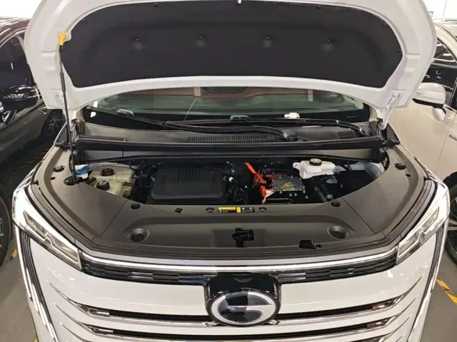 GAC Trumpchi E9 — Фото автомобиля 19