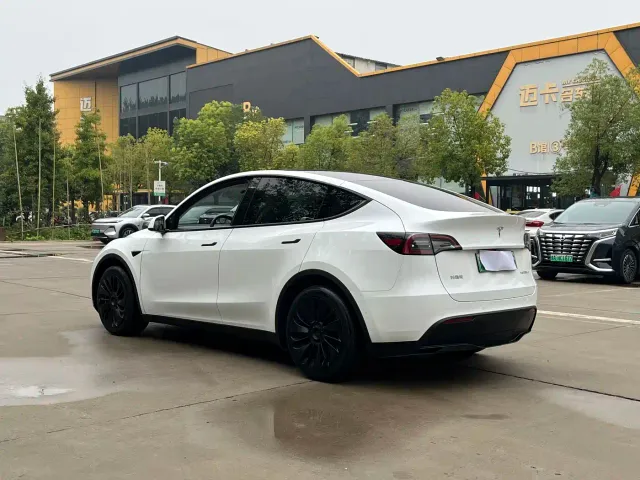 Tesla Model Y — Фото автомобиля 3