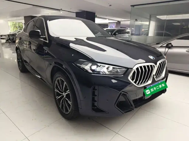 BMW X6 — Фото автомобиля 21