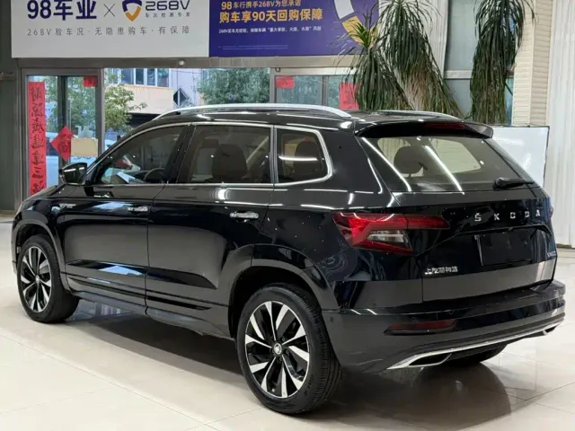 Skoda Karoq — Фото автомобиля 6