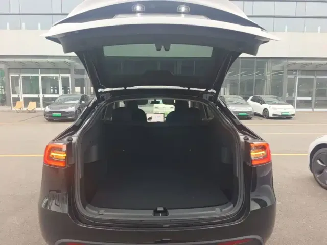Tesla Model Y — Фото автомобиля 18