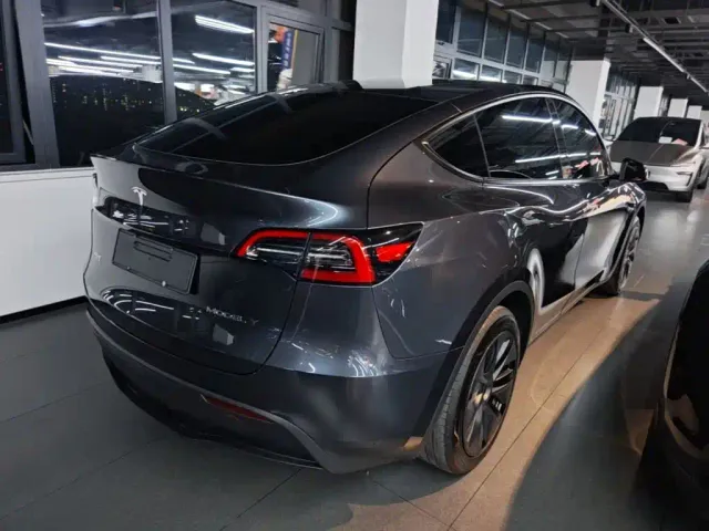 Tesla Model Y — Фото автомобиля 6