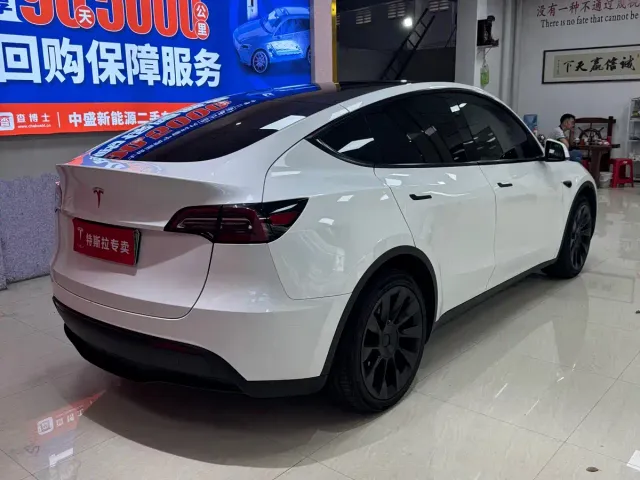 Tesla Model Y — Фото автомобиля 10