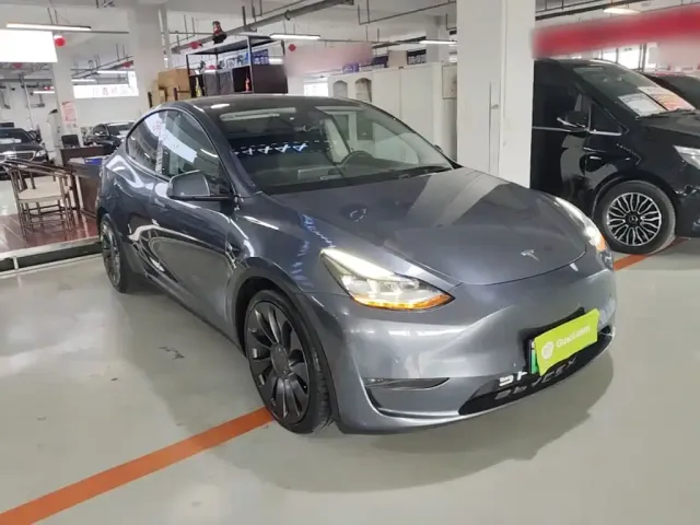 Tesla Model Y 2021 Performance High-Performance AWD — Фото автомобиля 21