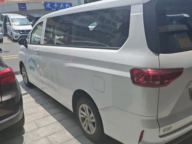 Link Tour Auto Lingtu E-M8 — Фото автомобиля 6