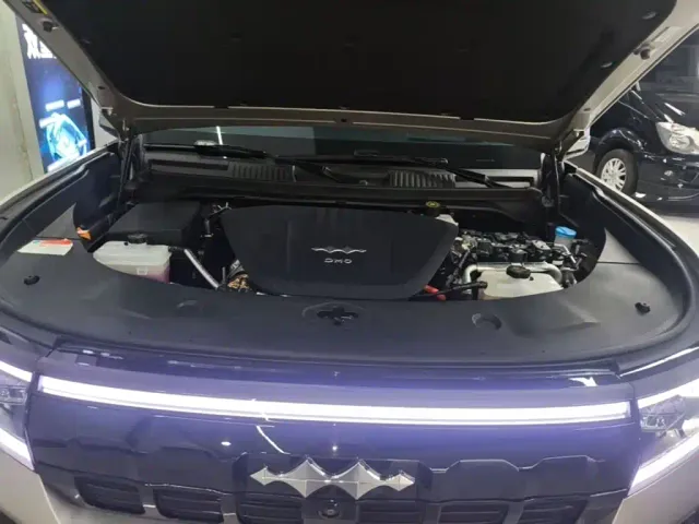BYD FangChengBao Leopard 8 — Фото автомобиля 19