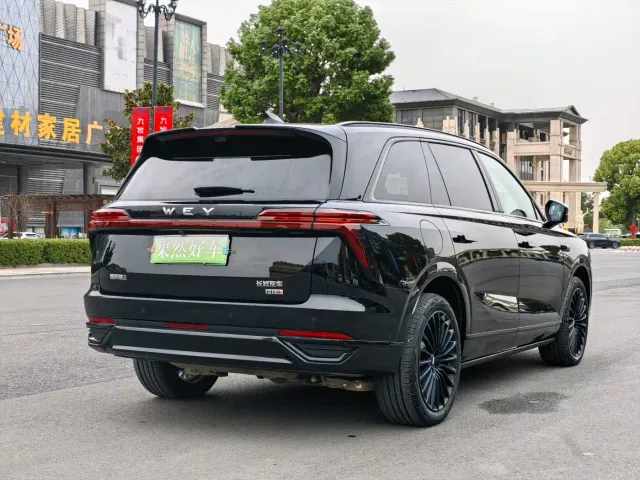 Wey Lanshan — Фото автомобиля 5