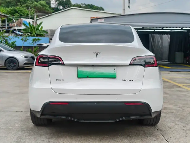 Tesla Model Y — Фото автомобиля 9