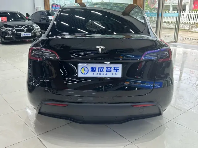 Tesla Model Y — Фото автомобиля 6