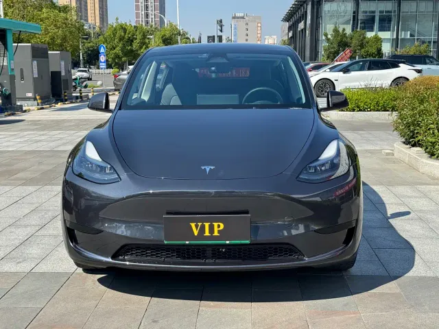 Tesla Model Y — Фото автомобиля 2