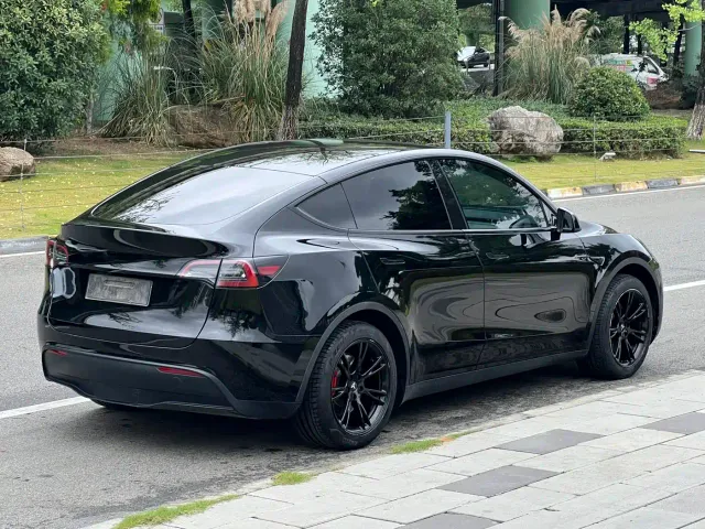 Tesla Model Y — Фото автомобиля 3