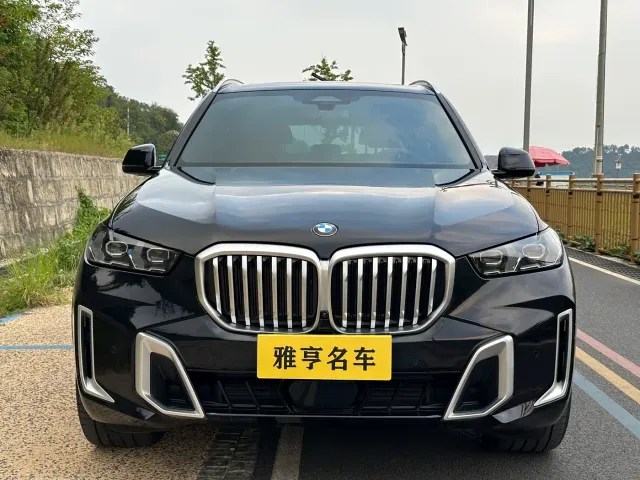 BMW BMW X5 2023 xDrive 40Li M Sport Black Night Package — Фото автомобиля 2
