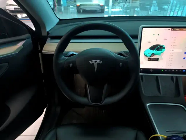 Tesla Model Y — Фото автомобиля 10
