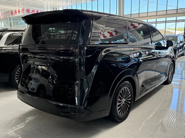 Denza Denza D9 2024 DM-i 1050 Premium — Фото автомобиля 5