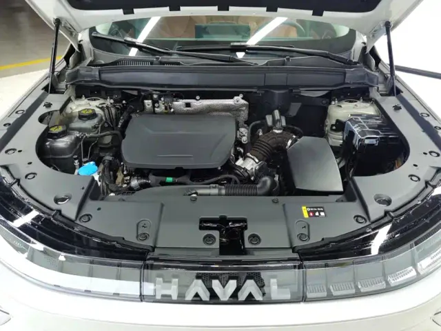 Haval Xiaolong MAX — Фото автомобиля 10