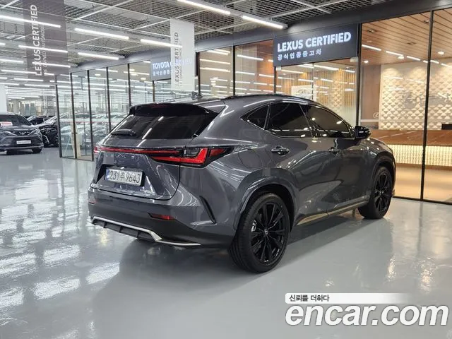 Lexus NX NX450h+ 2nd Gen — Фото автомобиля 2