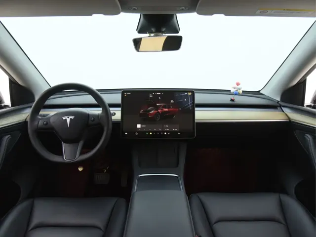 Tesla Model Y — Фото автомобиля 28