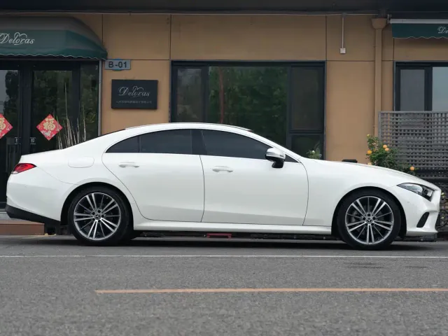 Mercedes-Benz CLS-Class — Фото автомобиля 24