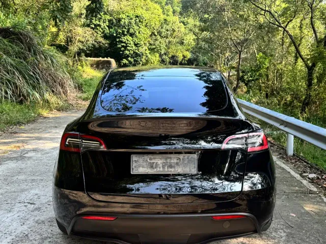 Tesla Model Y — Фото автомобиля 4