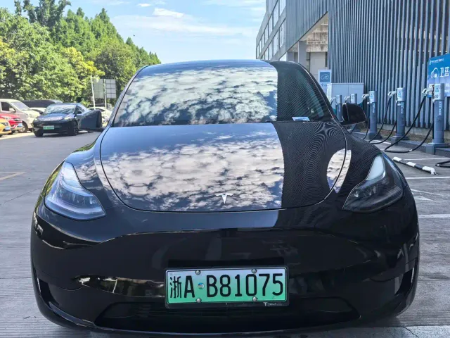 Tesla Model Y — Фото автомобиля 2