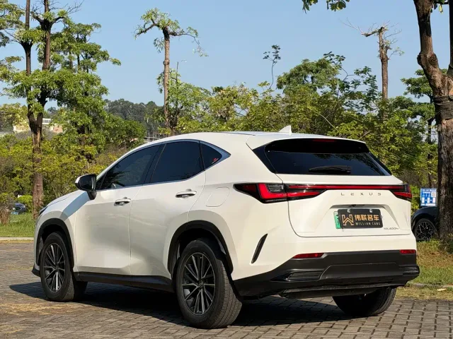 Lexus NX — Фото автомобиля 4