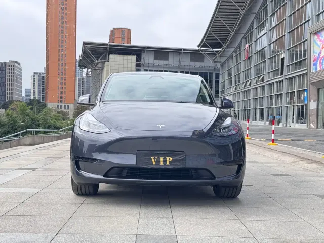 Tesla Model Y — Фото автомобиля 2