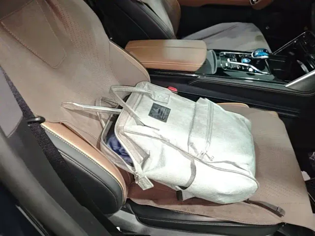 BYD Tang New Energy 2021 DM-i 112KM Honor — Фото автомобиля 24