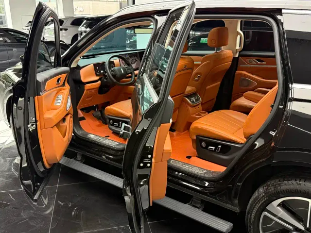 Wey Lanshan — Фото автомобиля 8
