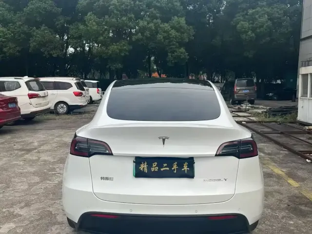 Tesla Model Y — Фото автомобиля 8