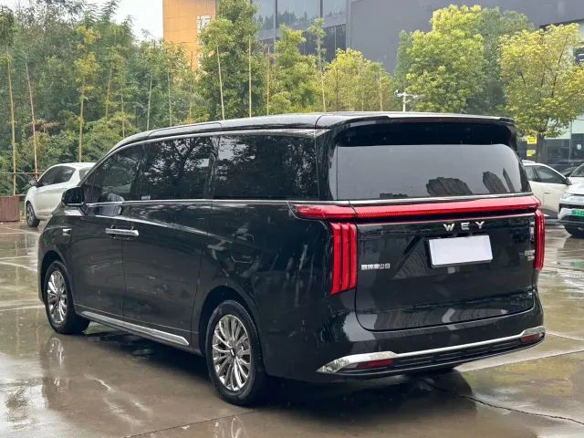 Wey Alpine — Фото автомобиля 17