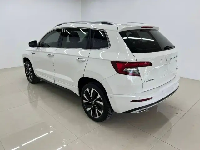 Skoda Karoq — Фото автомобиля 6
