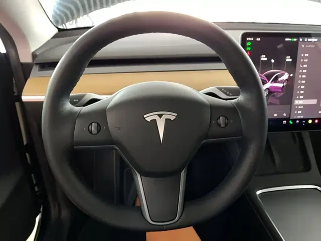 Tesla Model Y — Фото автомобиля 10