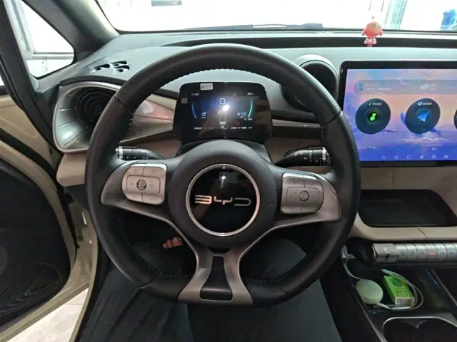 BYD Dolphin — Фото автомобиля 10