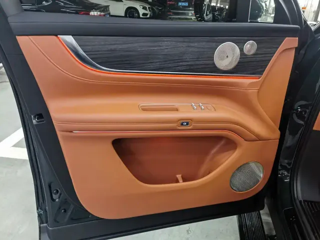 AITO Wenjie AITO M9 2024 Range Extender Max Edition 42kWh 6-seater — Фото автомобиля 8