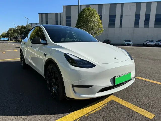 Tesla Model Y — Фото автомобиля 3