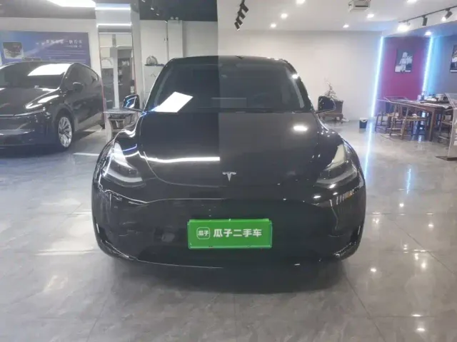 Tesla Model Y — Фото автомобиля 2