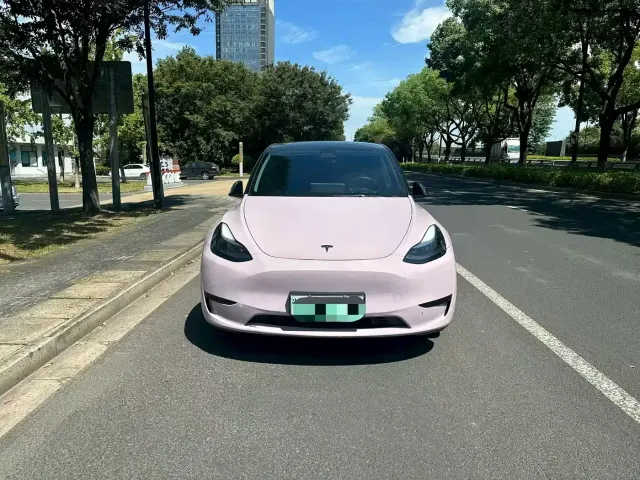 Tesla Model Y — Фото автомобиля 2
