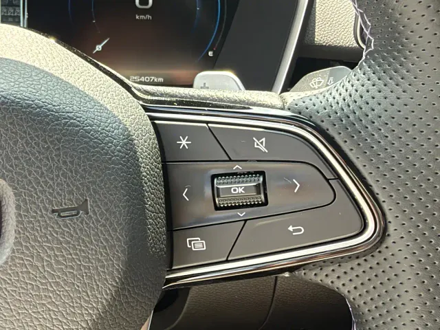 Geely Xingrui — Фото автомобиля 28