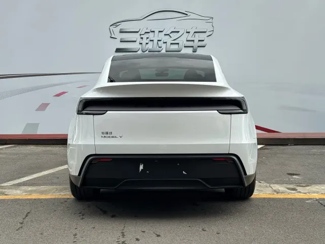 Tesla Model Y — Фото автомобиля 5