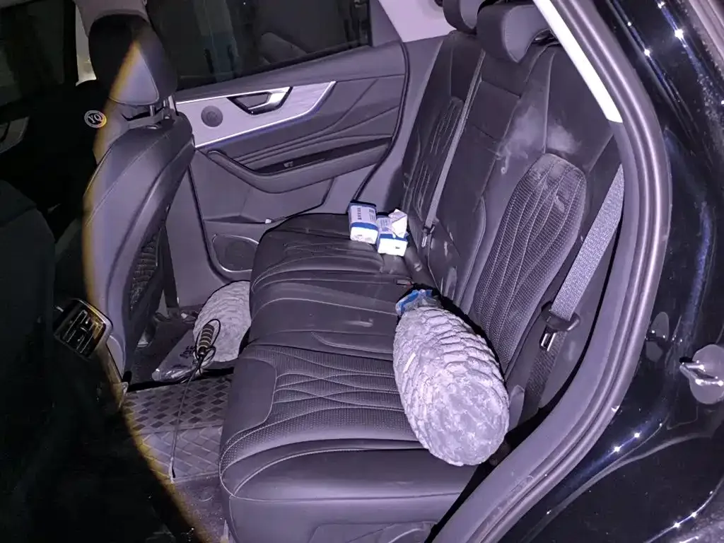 Hongqi Hongqi HS5 2025 2.0T 2WD Qixiang Pro — Фото автомобиля 13