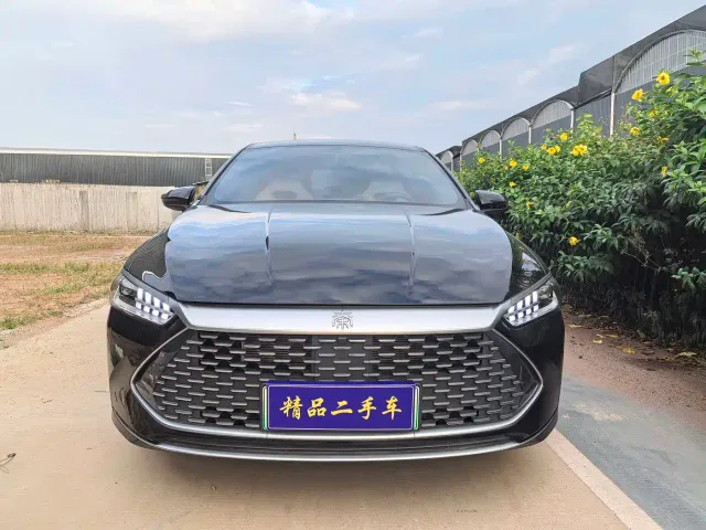 BYD Qin PLUS — Фото автомобиля 2