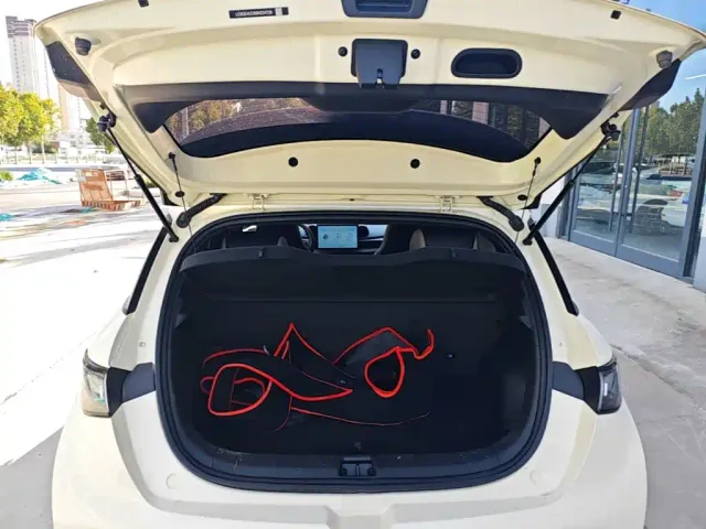 BYD Dolphin — Фото автомобиля 14