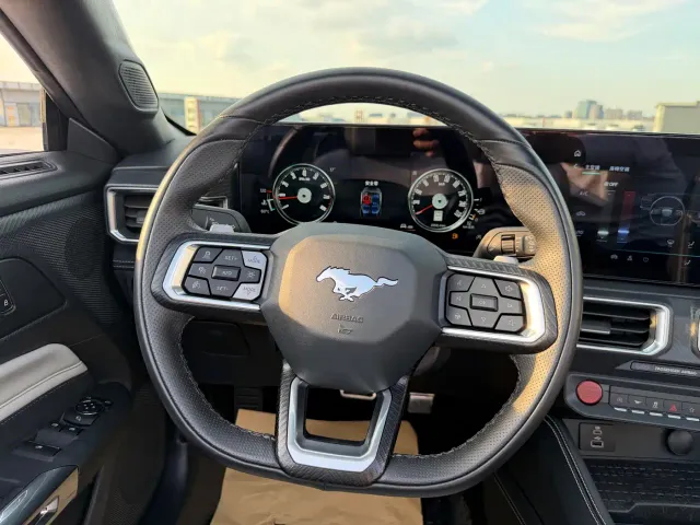 Ford Mustang — Фото автомобиля 30