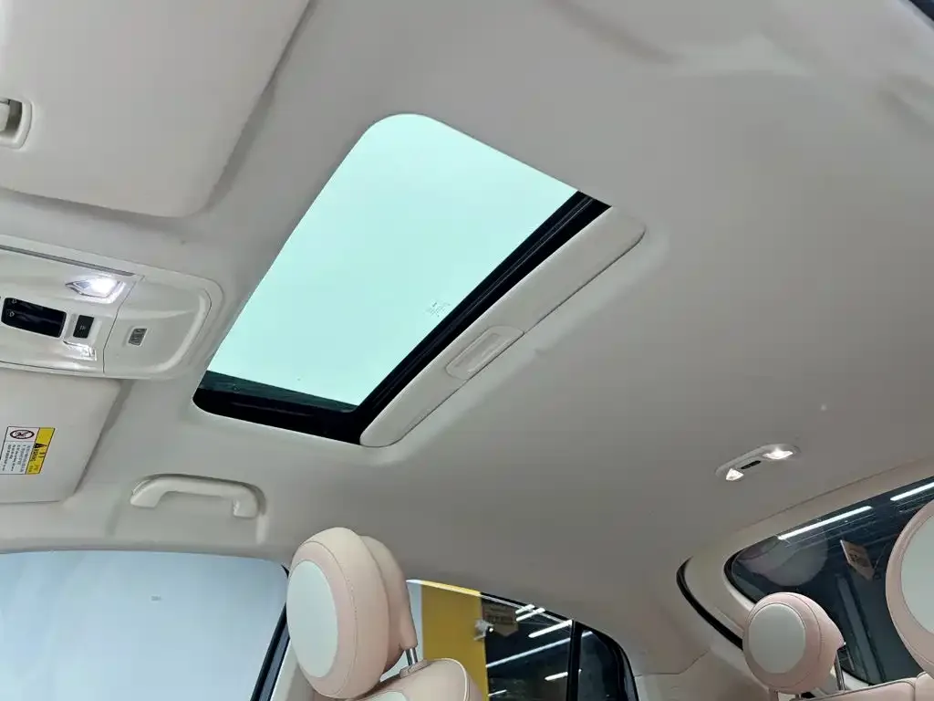 Ora Ora Ballet Cat 2022 401km Nutcracker Edition — Фото автомобиля 17