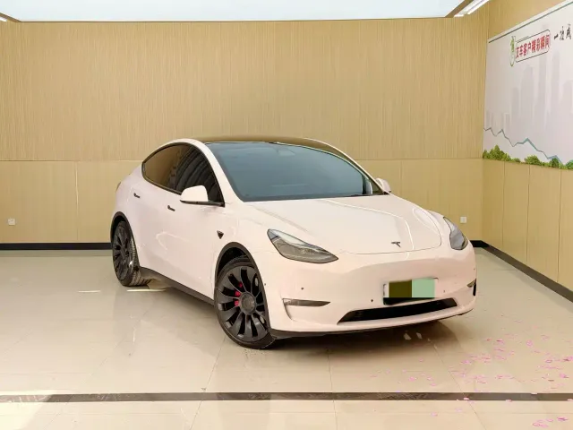 Tesla Model Y — Фото автомобиля 3
