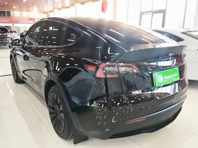 Tesla Model Y — Фото автомобиля 4